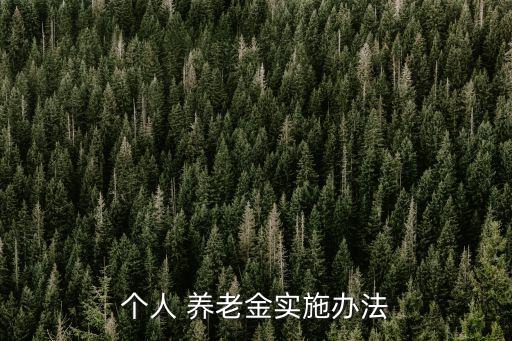 個(gè)人 養(yǎng)老金實(shí)施辦法