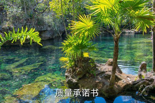 質(zhì)量承諾書