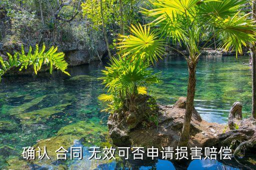 確認(rèn) 合同 無效可否申請損害賠償