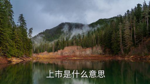 股票上市