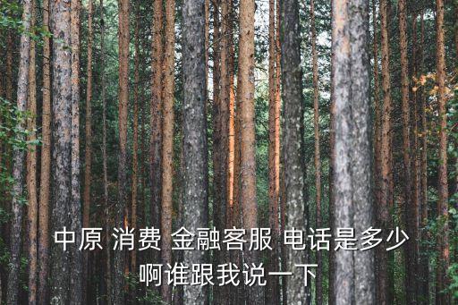  中原 消費 金融客服 電話是多少啊誰跟我說一下
