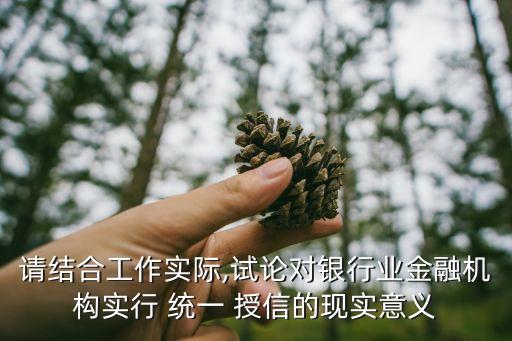 請結合工作實際,試論對銀行業(yè)金融機構實行 統(tǒng)一 授信的現實意義