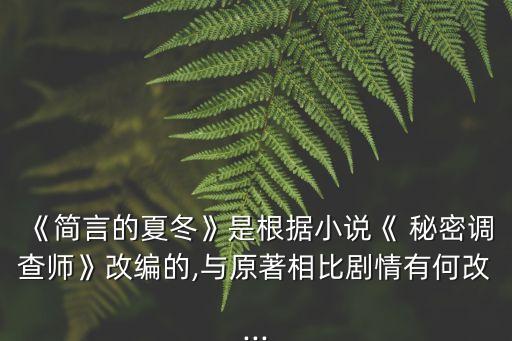 秘密調(diào)查,航海王熱血航線秘密調(diào)查行動