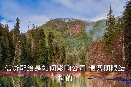 信貸配給是如何影響公司 債務(wù)期限結(jié)構(gòu)的