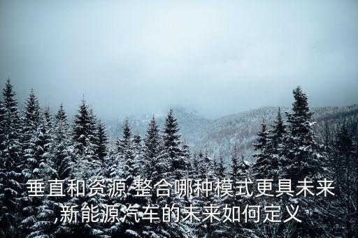 垂直整合