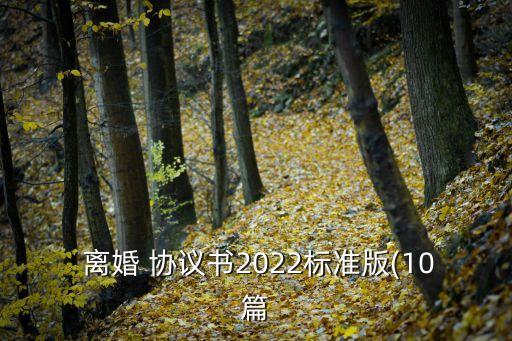  離婚 協(xié)議書2022標(biāo)準(zhǔn)版(10篇
