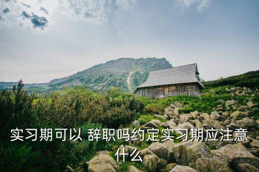 實習生辭職,暑期工招聘網(wǎng)學生