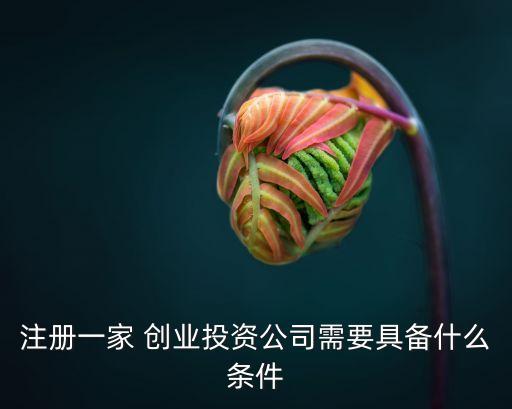 注冊一家 創(chuàng)業(yè)投資公司需要具備什么條件