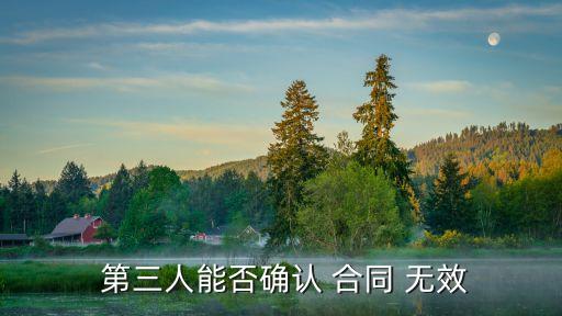  第三人能否確認(rèn) 合同 無(wú)效
