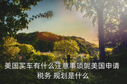 美國買車有什么注意事項呢美國申請 稅務(wù) 規(guī)劃是什么