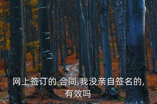 網(wǎng)上簽訂的 合同,我沒(méi)親自簽名的,有效嗎