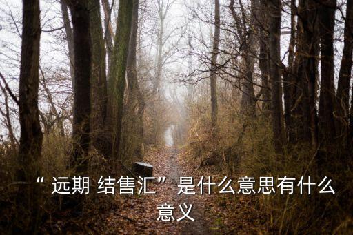 遠(yuǎn)期結(jié)售匯