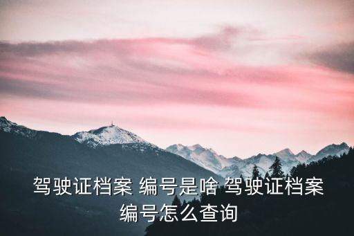 駕駛證編號(hào)是什么,個(gè)人駕照信息查詢