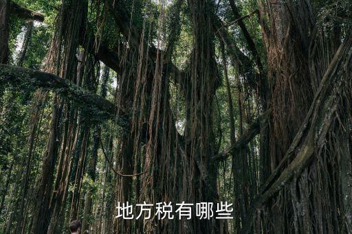 地方稅有哪些