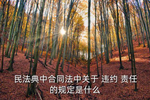民法典違約責(zé)任條款