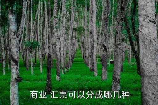 商業(yè) 匯票可以分成哪幾種