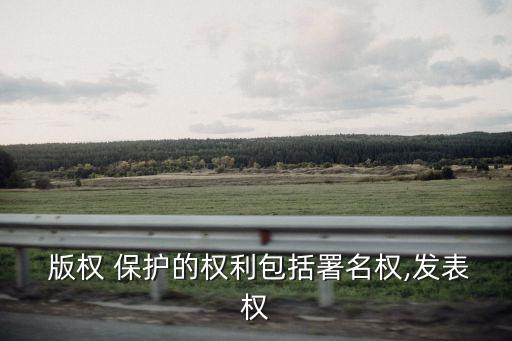 版權(quán)保護,中國版權(quán)保護中心