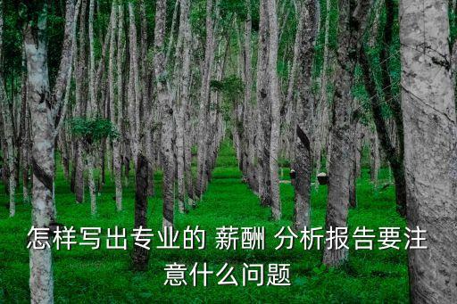 怎樣寫出專業(yè)的 薪酬 分析報(bào)告要注意什么問(wèn)題