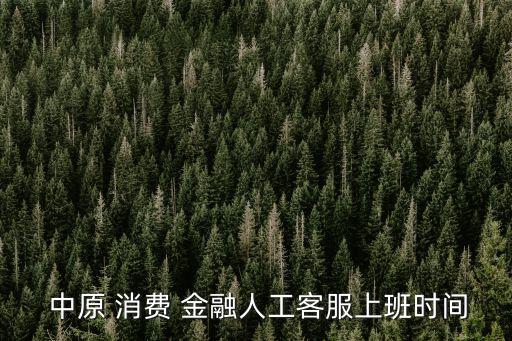 中原消費金融電話,中信消費金融24小時客服電話