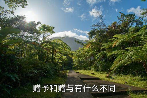 贈(zèng)予的意思,大自然的贈(zèng)與的意思