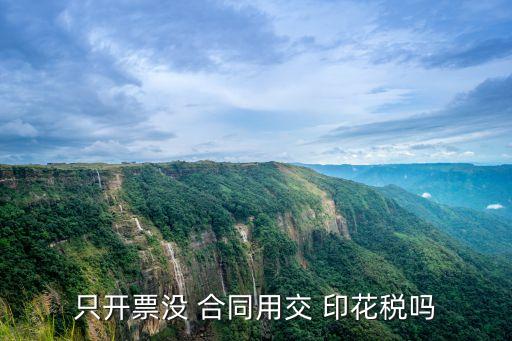 只開票沒 合同用交 印花稅嗎