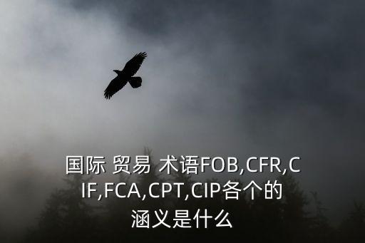 國際 貿(mào)易 術語FOB,CFR,CIF,FCA,CPT,CIP各個的涵義是什么