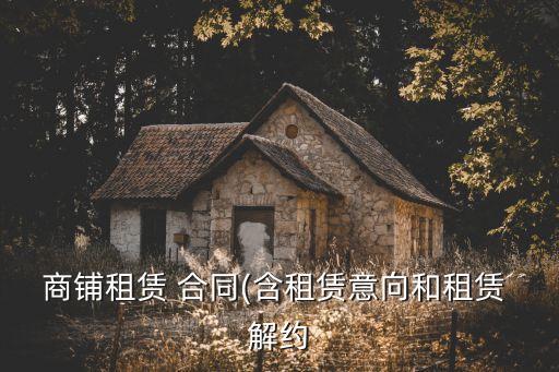 商鋪?zhàn)赓U 合同(含租賃意向和租賃 解約