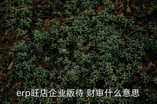 erp旺店企業(yè)版待 財(cái)審什么意思