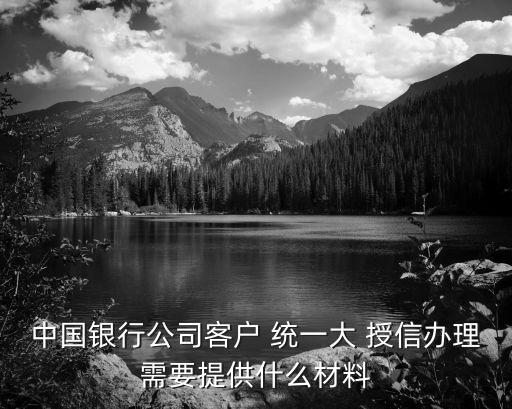 統(tǒng)一授信,集團(tuán)客戶統(tǒng)一授信