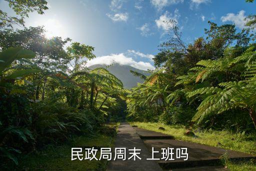  民政局周末 上班嗎