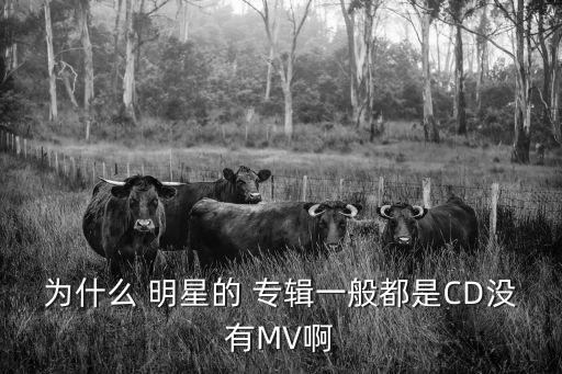 明星專輯