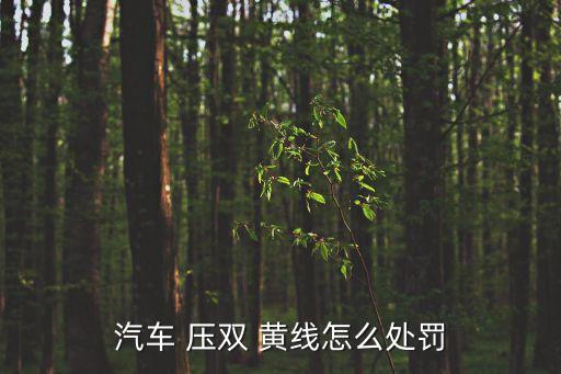 壓雙黃線