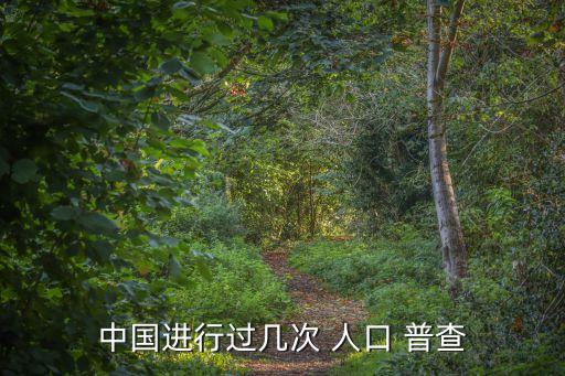 第六次人口普查