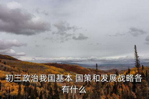 初三政治我國基本 國策和發(fā)展戰(zhàn)略各有什么