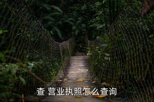 怎么查營業(yè)執(zhí)照信息,拼多多怎么查營業(yè)執(zhí)照信息
