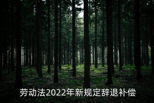  勞動法2022年新規(guī)定辭退補(bǔ)償