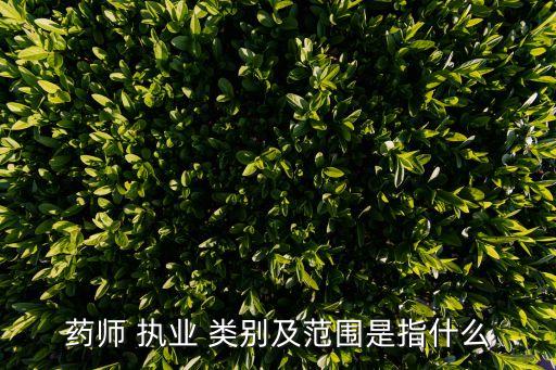 藥師 執(zhí)業(yè) 類別及范圍是指什么