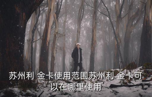 利金卡
