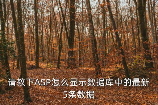 請教下ASP怎么顯示數(shù)據(jù)庫中的最新5條數(shù)據(jù)