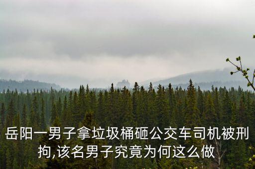 刀郎為什么坐牢,刀郎的歌為什么突然免費(fèi)了