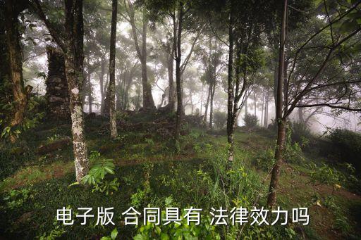 電子合同法律效應(yīng)如何,電子公章合同有沒有法律效應(yīng)