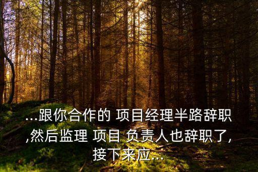 ...跟你合作的 項(xiàng)目經(jīng)理半路辭職,然后監(jiān)理 項(xiàng)目 負(fù)責(zé)人也辭職了,接下來(lái)應(yīng)...