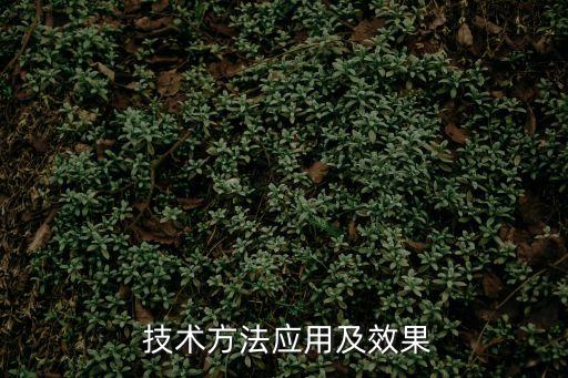 技術(shù)方法,對蝦養(yǎng)殖技術(shù)方法