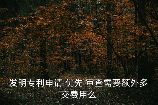 發(fā)明專利申請 優(yōu)先 審查需要額外多交費用么