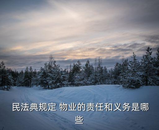 民法典物業(yè)管理條例,2022民法典物業(yè)管理條例