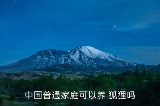 中國普通家庭可以養(yǎng) 狐貍嗎