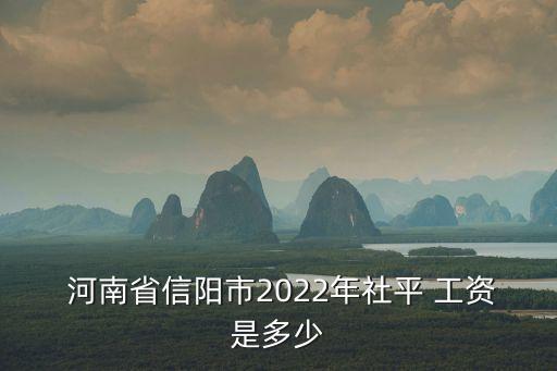  河南省信陽市2022年社平 工資是多少