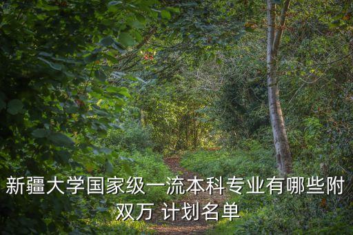 新疆大學(xué)國(guó)家級(jí)一流本科專業(yè)有哪些附 雙萬(wàn) 計(jì)劃名單