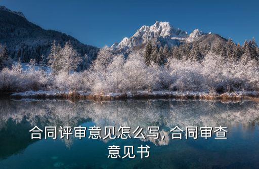  合同評審意見怎么寫, 合同審查 意見書