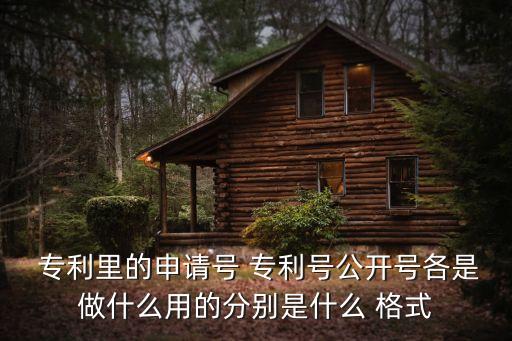  專利里的申請(qǐng)?zhí)?專利號(hào)公開號(hào)各是做什么用的分別是什么 格式